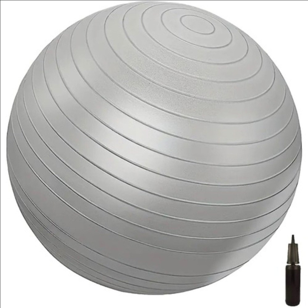 Gunnar Peterson's Core Secrets exercise balance ball only no pump nip